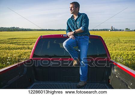 Stock Photograph - Farmer standing in back of pickup truck looking at barley field; Bradford, Ontario, Canada. Fotosearch