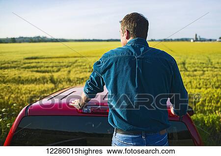 Stock Photograph - Farmer standing in back of pickup truck looking at barley field; Bradford, Ontario, Canada. Fotosearch