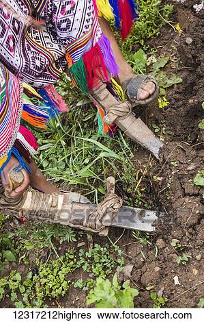 Farmer tills ground for planting with traditional tool, Amaru community outside Urubamba; Cusco, Peru View Large Photo Image Stock Photograph - Farmer tills ground for planting with traditional tool, Amaru community outside Urubamba; Cusco, Peru. Fotosearch