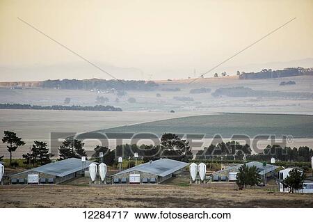 Farmland at dusk; Stellenbosch, Western Cape, South Africa View Large Photo Image Stock Photo - Farmland at dusk; Stellenbosch, Western Cape, South Africa. Fotosearch