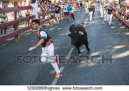 Stock Photograph - Festival in Alcala de Henares and bull running; Madrid, Spain. Fotosearch