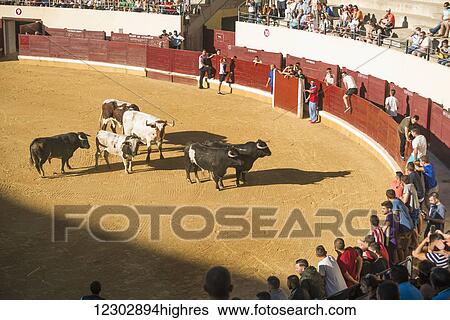 Stock Photograph - Festival in Alcala de Henares and the bullring; Madrid, Spain. Fotosearch