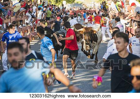 Stock Photograph - Festival in Alcala de Henares, bull running, one of the most followed attractions; Alcala de Henares, Madrid, Spain. Fotosearch