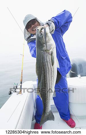 Stock Photograph - Fisherman holding a fresh caught Striped Bass; Cape Cod, Massachusetts, United States of America. Fotosearch