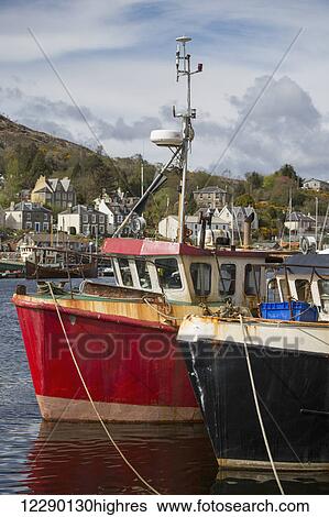 Fishing boats in a harbour with houses in the background; Tarbet, Scotland View Large Photo Image Stock Photograph - Fishing boats in a harbour with houses in the background; Tarbet, Scotland. Fotosearch
