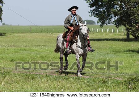Gaucho on a horse; Argentina View Large Photo Image Stock Photograph - Gaucho on a horse; Argentina. Fotosearch