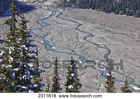 Glacial meltwaters from Peyto Glacier feeding into Peyto Lake, part of the Wapta Icefield, Banff National Park; Alberta, Canada View Large Photo Image Stock Photo - Glacial meltwaters from Peyto Glacier feeding into Peyto Lake, part of the Wapta Icefield, Banff National Park; Alberta, Canada. Fotosearch