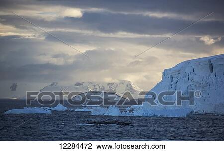 Glaciers calving into Gerlache Strait, Antarctic Peninsula; Antarctica View Large Photo Image Stock Image - Glaciers calving into Gerlache Strait, Antarctic Peninsula; Antarctica. Fotosearch