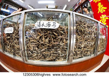 Stock Photograph - Glass cases full of dried seahorses for sale at a medicine shop, used as aphrodisiacs in Chinese medicine; Guangzhou, China. Fotosearch