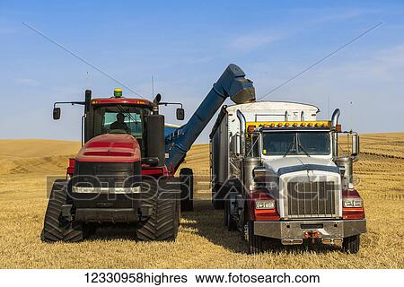 Stock Photograph - Grain Cart Unloading Wheat Into A Grain Truck In The Palouse Region Of Eastern Washington; Washington, United States Of America. Fotosearch