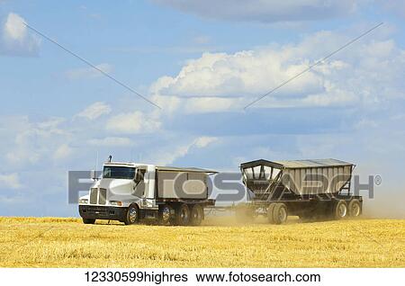 Stock Photograph - Grain Truck On A Harvested Grain Field In The Palouse Region Of Eastern Washington; Washington, United States Of America. Fotosearch
