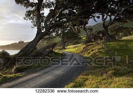 Gravel seaside road at sunset, Coromandel area; North Island, New Zealand View Large Photo Image Stock Photograph - Gravel seaside road at sunset, Coromandel area; North Island, New Zealand. Fotosearch
