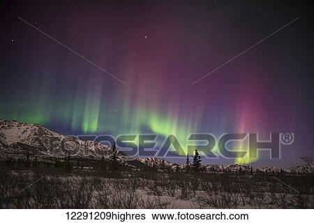 Green and pink aurora borealis over the Alaska Range in Denali National Park & Preserve, Alaska. View Large Photo Image Stock Photograph - Green and pink aurora borealis over the Alaska Range in Denali National Park & Preserve, Alaska.. Fotosearch