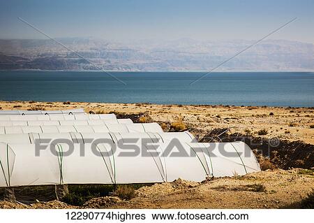 Greenhouses along the Dead Sea; Jordan Valley, Israel View Large Photo Image Stock Photograph - Greenhouses along the Dead Sea; Jordan Valley, Israel. Fotosearch
