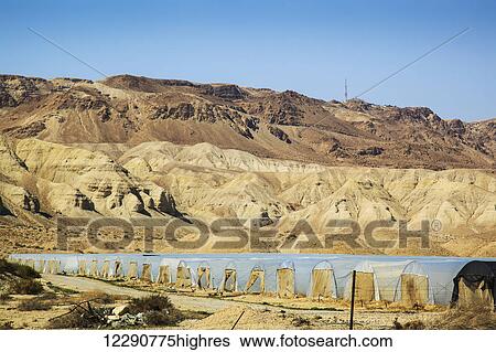Stock Photograph - Greenhouses along the Dead Sea; Jordan Valley, Israel. Fotosearch