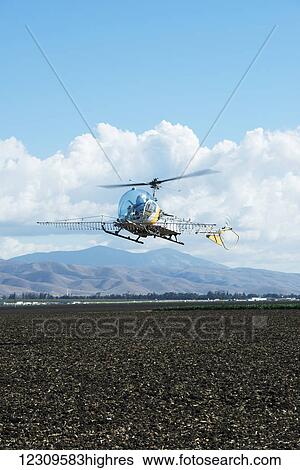 Helicopter landing to refill spray tanks; Gonzales, California, United States of America View Large Photo Image Stock Photograph - Helicopter landing to refill spray tanks; Gonzales, California, United States of America. Fotosearch