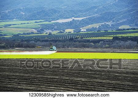 Helicopter spraying spring mix in fields; Gonzalez, California, United States of America View Large Photo Image Stock Photograph - Helicopter spraying spring mix in fields; Gonzalez, California, United States of America. Fotosearch