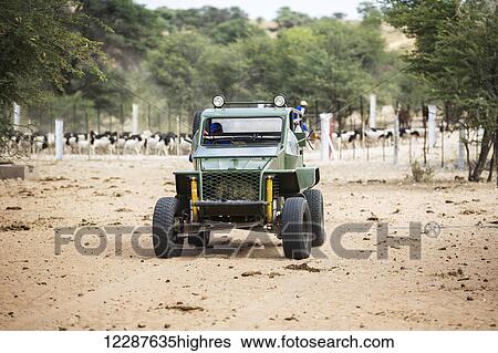 Homemade dune buggy riding on a sheep farm; Koes, Namibia View Large Photo Image Stock Photograph - Homemade dune buggy riding on a sheep farm; Koes, Namibia. Fotosearch