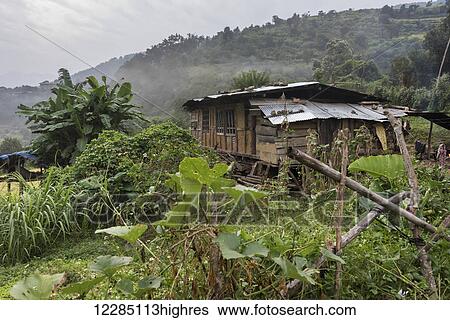 Stock Photograph - House in a valley with low cloud and vegetation; Punakha, Bhutan. Fotosearch