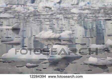 Picture - Icebergs in Neko Harbor, Antarctic Peninsula; Antarctica. Fotosearch