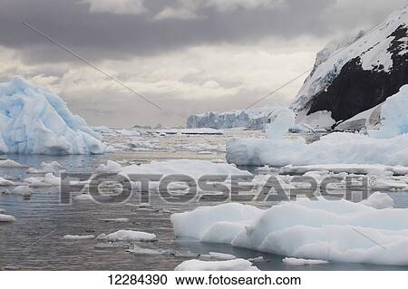 Stock Image - Icebergs in Neko Harbor, Antarctic Peninsula; Antarctica. Fotosearch