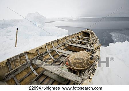 Inupiaq umiak, or bearded seal skin boat, at the edge of an open lead in the pack ice during spring whaling season, Chukchi Sea, offshore from Barrow, Arctic coast of Alaska View Large Photo Image Stock Photograph - Inupiaq umiak, or bearded seal skin boat, at the edge of an open lead in the pack ice during spring whaling season, Chukchi Sea, offshore from Barrow, Arctic coast of Alaska. Fotosearch