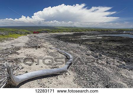Stock Image - Kamilo Beach, also known was Trash Beach, for all the plastic ocean debris that washes up in the KaÃƒÂ¢Ã¢â€šÂ¬Ã¢â€žÂ¢u District; Island of Hawaii, Hawaii, United States of America. Fotosearch