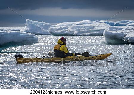 Stock Photograph - Kayaker surrounded by icebergs resting his paddle; Antarctica. Fotosearch