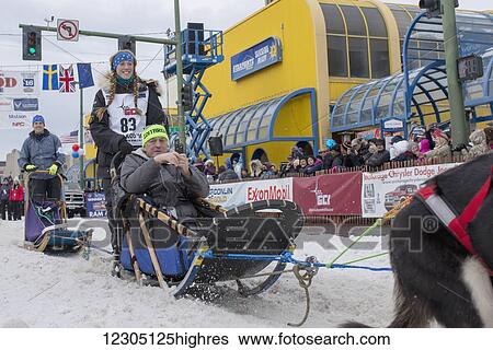 Stock Photograph - Kristy Berington and team leave the ceremonial start line with an Iditarider during the 2016 Iditarod. Fotosearch