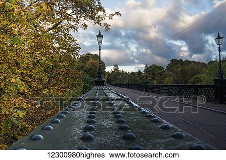 Lamp posts along a street in autumn; Newcastle, Tyne and Wear, England View Large Photo Image Stock Photograph - Lamp posts along a street in autumn; Newcastle, Tyne and Wear, England. Fotosearch