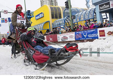 Stock Photograph - Lance Mackey and team leave the ceremonial start line with an Iditarider during the 2016 Iditarod. Fotosearch