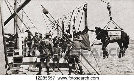 Stock Photo - Landing horses and troops at Gallipoli during World War One. From The Pageant of the Century, published 1934. Fotosearch