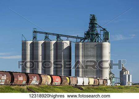 Large concrete grain elevator with train grain cars in the foreground with blue sky, South of Calgary; Alberta, Canada View Large Photo Image Stock Photograph - Large concrete grain elevator with train grain cars in the foreground with blue sky, South of Calgary; Alberta, Canada. Fotosearch