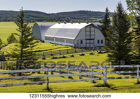 Stock Photograph - Large white barn with white wooden fencing on a rolling pasture field with treed hills in the background, North of Millarville; Alberta, Canada. Fotosearch
