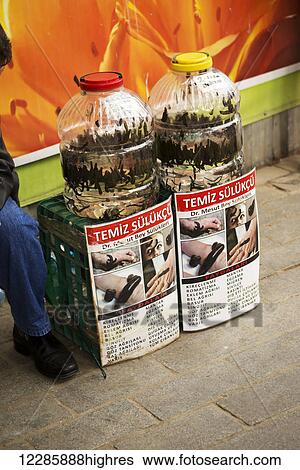Leeches for sale; Istanbul, Turkey View Large Photo Image Stock Photograph - Leeches for sale; Istanbul, Turkey. Fotosearch