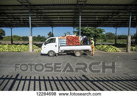 Loading a white pickup truck at the Tshwane Fresh Produce Market; Pretoria, Gauteng, South Africa View Large Photo Image Stock Photo - Loading a white pickup truck at the Tshwane Fresh Produce Market; Pretoria, Gauteng, South Africa. Fotosearch
