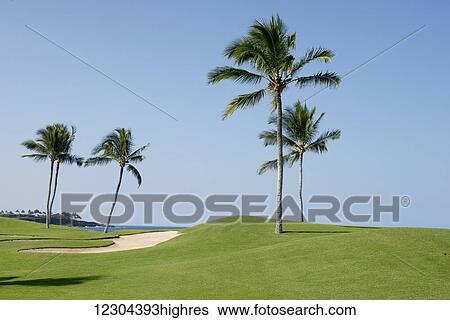 Stock Photograph - Looking over the Mauna Launi Golf Course towards the ocean; Mauna Launi, Island of Hawaii, Hawaii, United States of America. Fotosearch