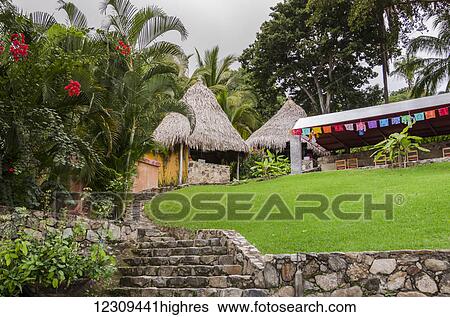 Stock Photograph - Lush grass and foliage at a resort; Yalepa, Jalisco, Mexico. Fotosearch