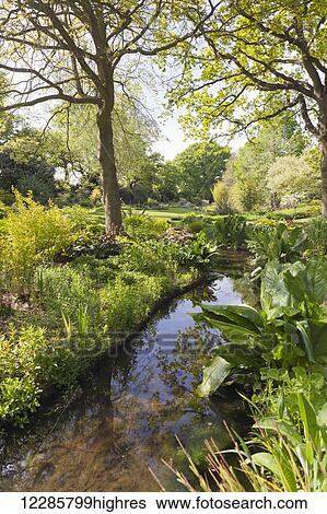 Stock Photograph - Lush landscaped garden in summer with trees reflected in tranquil stream; Essex, England. Fotosearch
