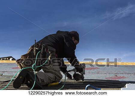 Male roofer with air nailer on top of roof nailing new shingles with blue sky; Calgary, Alberta, Canada View Large Photo Image Stock Photograph - Male roofer with air nailer on top of roof nailing new shingles with blue sky; Calgary, Alberta, Canada. Fotosearch