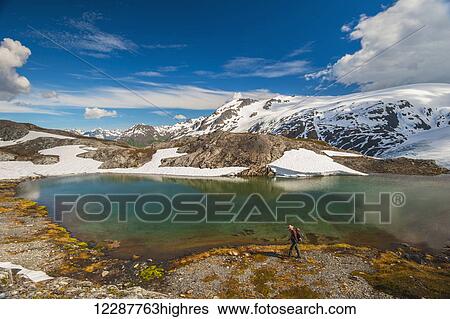 Stock Photograph - Man hiking alongside a lake while hiking the Harding Icefield Trail, Kenai Fjords National Park, Kenai Peninsula, Southcentral Alaska. Fotosearch