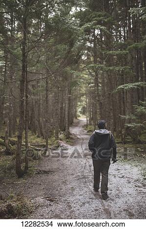 Man hiking on a path in the forest with a light dusting of fresh snow, Girdwood, Southcentral Alaska View Large Photo Image Picture - Man hiking on a path in the forest with a light dusting of fresh snow, Girdwood, Southcentral Alaska. Fotosearch