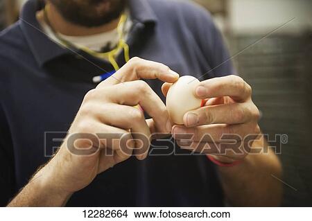 Picture - Man holding an egg; Salisbury, Maryland, United States of America. Fotosearch
