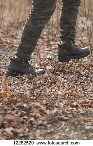 Man in boots and camouflage pants walking through leaves, Alaska View Large Photo Image Stock Photo - Man in boots and camouflage pants walking through leaves, Alaska. Fotosearch