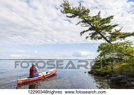 Man paddling canoe near shore on Balsam Lake; Ontario, Canada View Large Photo Image Stock Photograph - Man paddling canoe near shore on Balsam Lake; Ontario, Canada. Fotosearch