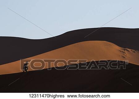Stock Photograph - Man walking through the sand dunes of the Namib desert in Sossusvlei; Namibia. Fotosearch