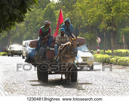 Men riding a horse drawn cart down the street beside cars; Marrakech, Morocco View Large Photo Image Stock Photograph - Men riding a horse drawn cart down the street beside cars; Marrakech, Morocco. Fotosearch