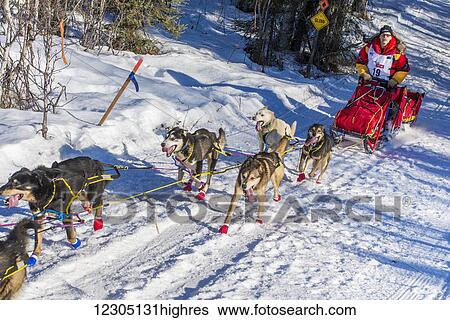 Stock Photograph - Mitch Seavey and team run down the trail on Long Lake shortly after leaving the re-start in Willow, Alaska during the 2016 Iditarod. Fotosearch