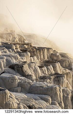Stock Photograph - Morning light burns through heavy steam at Mammoth Springs, Yellowstone National Park; Wyoming, United States of America. Fotosearch