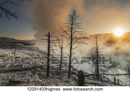 Stock Photograph - Morning sun shines through steam at Mammoth Springs in Yellowstone National Park; Wyoming, United States of America. Fotosearch